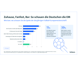 TV Nur für die Fußball-EM: 11 Prozent nutzen neues Streaming-Abo - News, Bild 1