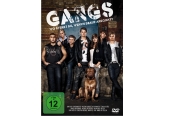 DVD Film Gangs (Walt Disney) im Test, Bild 1